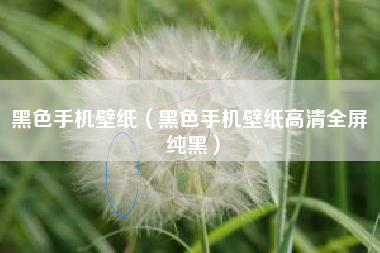 黑色手机壁纸（黑色手机壁纸高清全屏 纯黑）