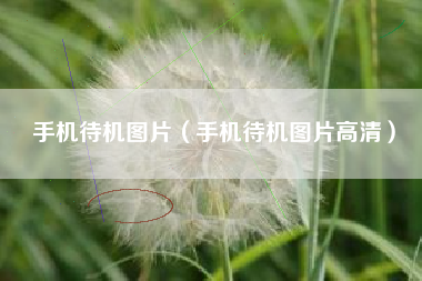 手机待机图片（手机待机图片高清）