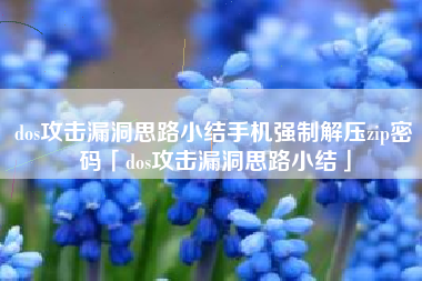 dos攻击漏洞思路小结手机强制解压zip密码「dos攻击漏洞思路小结」