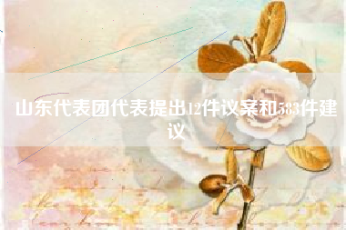 山东代表团代表提出12件议案和583件建议