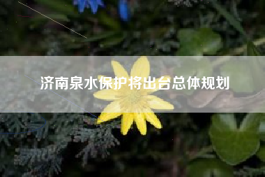 济南泉水保护将出台总体规划