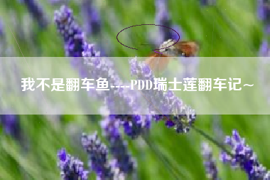 我不是翻车鱼----PDD瑞士莲翻车记~
