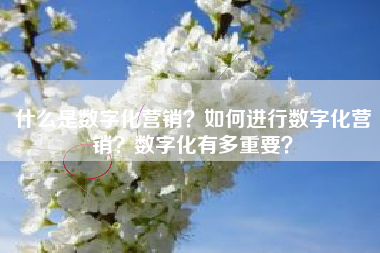什么是数字化营销？如何进行数字化营销？数字化有多重要？