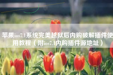 苹果ios7.1系统完美越狱后内购破解插件使用教程（附ios7.1内购插件源地址）
