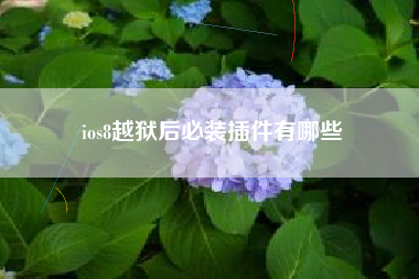 ios8越狱后必装插件有哪些