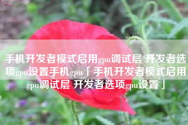 手机开发者模式启用gpu调试层 开发者选项gpu设置手机gpu「手机开发者模式启用gpu调试层 开发者选项gpu设置」