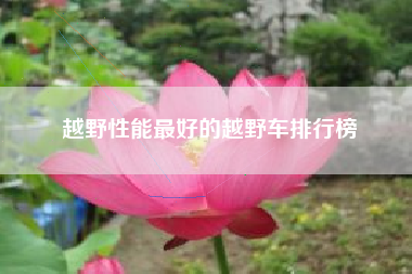 越野性能最好的越野车排行榜