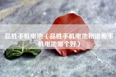 品胜手机电池（品胜手机电池和诺希手机电池哪个好）
