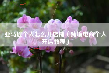 亚马逊个人怎么开店铺（跨境电商个人开店教程）