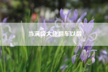 当满级大佬翻车以后