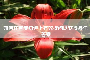 如何在百度知道上有效提问以获得最佳答案