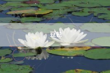 豆包