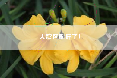 大湾区刷屏了！