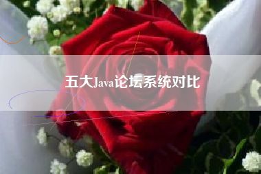 五大Java论坛系统对比