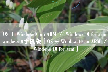 OS + Windows10 on ARM ／ Windows 10 for armwindows10手机版「OS + Windows10 on ARM ／ Windows 10 for arm」