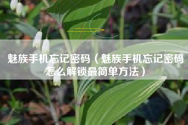 魅族手机忘记密码（魅族手机忘记密码怎么解锁最简单方法）