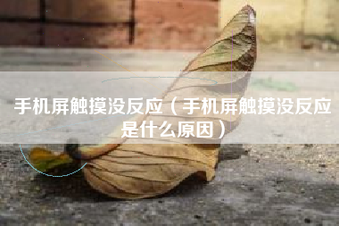 手机屏触摸没反应（手机屏触摸没反应是什么原因）