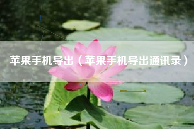 苹果手机导出（苹果手机导出通讯录）