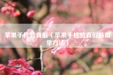 苹果手机验真假（苹果手机验真假最简单方法）