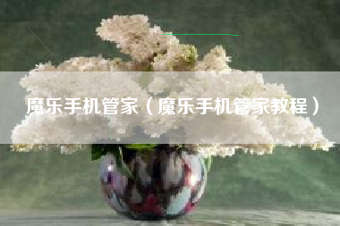 魔乐手机管家（魔乐手机管家教程）