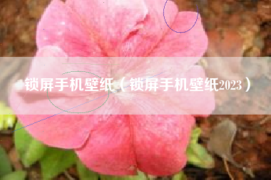 锁屏手机壁纸（锁屏手机壁纸2023）