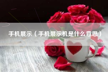 手机展示（手机展示机是什么意思）