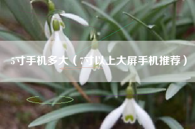 5寸手机多大（7寸以上大屏手机推荐）