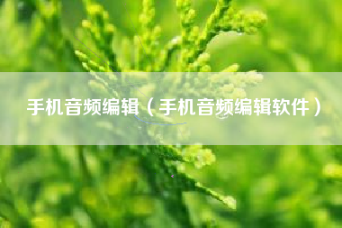 手机音频编辑（手机音频编辑软件）