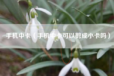 手机中卡（手机中卡可以剪成小卡吗）