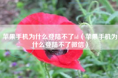 苹果手机为什么登陆不了id（苹果手机为什么登陆不了微信）