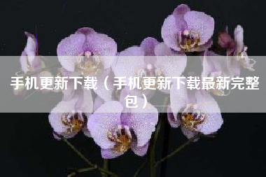 手机更新下载（手机更新下载最新完整包）