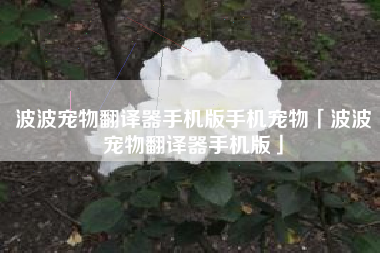 波波宠物翻译器手机版手机宠物「波波宠物翻译器手机版」
