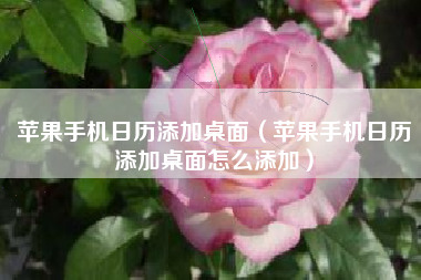 苹果手机日历添加桌面（苹果手机日历添加桌面怎么添加）
