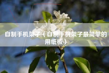 自制手机架子（自制手机架子最简单的用纸板）