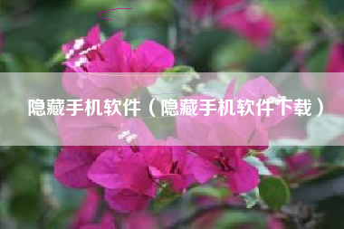 隐藏手机软件（隐藏手机软件下载）