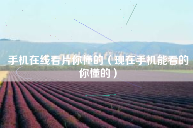 手机在线看片你懂的（现在手机能看的你懂的）