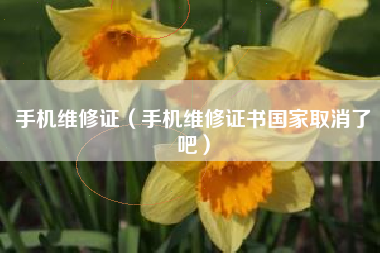 手机维修证（手机维修证书国家取消了吧）