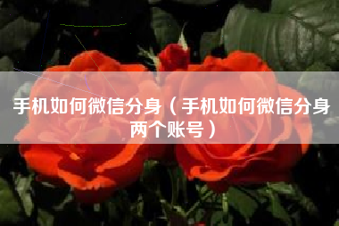 手机如何微信分身（手机如何微信分身两个账号）