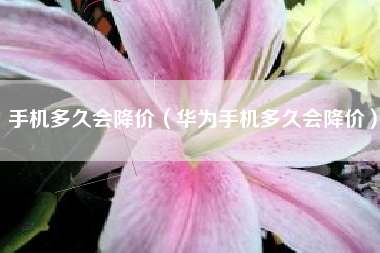 手机多久会降价（华为手机多久会降价）