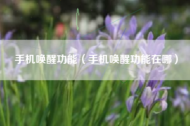 手机唤醒功能（手机唤醒功能在哪）