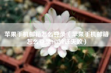 苹果手机邮箱怎么登录（苹果手机邮箱怎么登录163验证失败）
