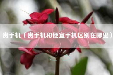 贵手机（贵手机和便宜手机区别在哪里）