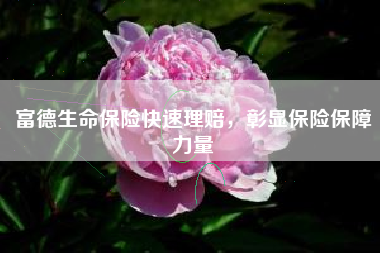 富德生命保险快速理赔，彰显保险保障力量
