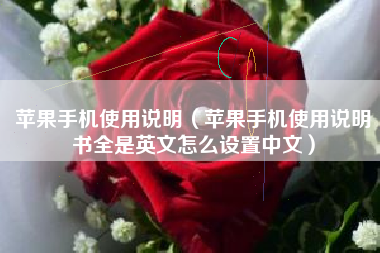 苹果手机使用说明（苹果手机使用说明书全是英文怎么设置中文）