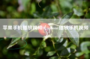 苹果手机播放视频（iphone播放手机视频）