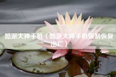 酷派大神手机（酷派大神手机强制恢复出厂）