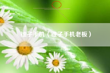 锥子手机（锥子手机老板）