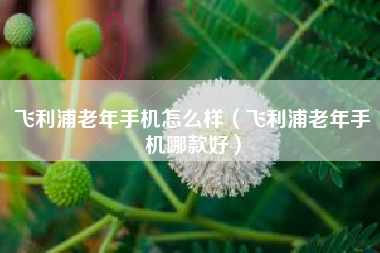 飞利浦老年手机怎么样（飞利浦老年手机哪款好）