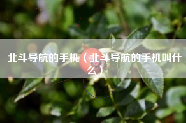 北斗导航的手机（北斗导航的手机叫什么）