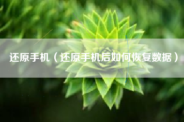 还原手机（还原手机后如何恢复数据）